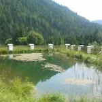 Berg Castle Kloesterle בית נופש